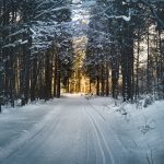 Kuldebølge stopper skirennene: Pararenn avlyst på grunn av lave temperaturer